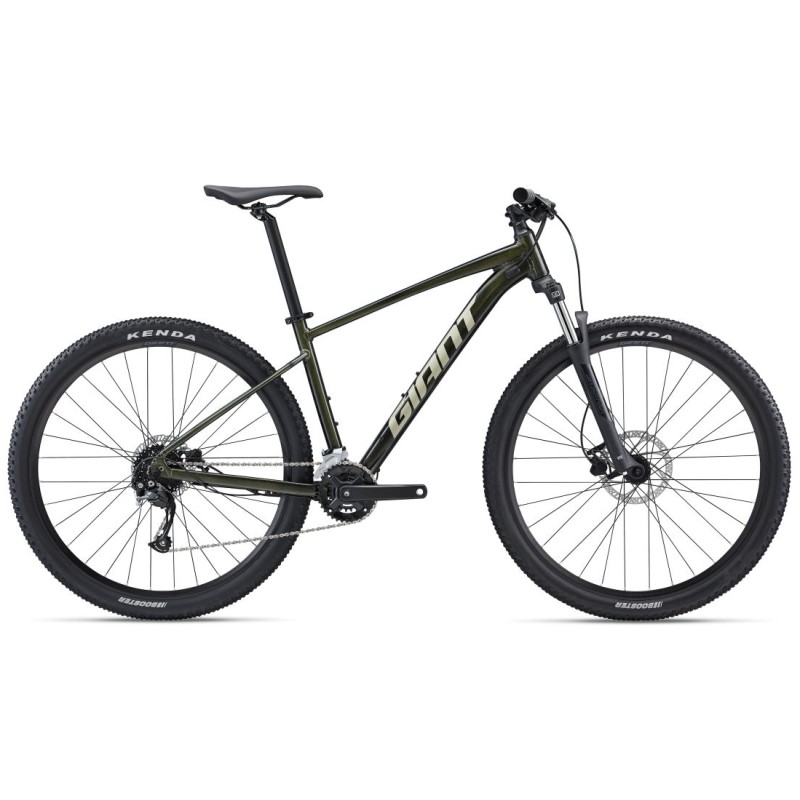 GIANT TALON 2 PHANTOM GREEN 2024| Accessoires et équipements pour vélo